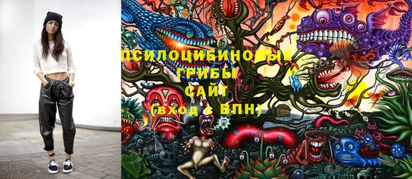 PSILOCYBIN Алексин