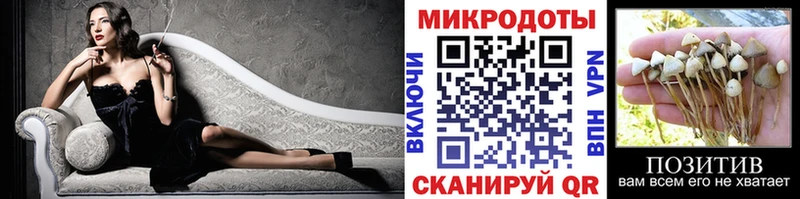Псилоцибиновые грибы Psilocybe Дрезна