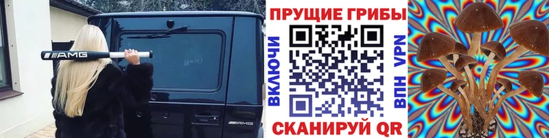 Галлюциногенные грибы Cubensis  купить  сайты  Дрезна 