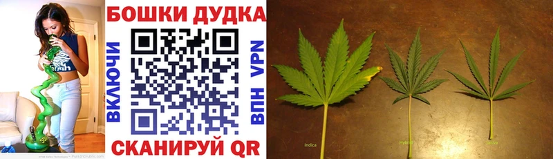 Марихуана марихуана  даркнет сайт  Дрезна 